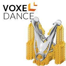 Программное обеспечение VoxelDance Additive Base (локальная лицензия)